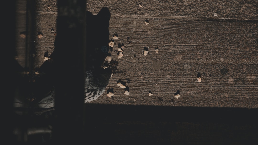 Slot Pulsa DV188: Revolusi Baru dalam Dunia Permainan Online