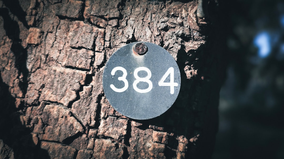 DV188 Slot Dana: Solusi Praktis untuk Hiburan dan Keuntungan